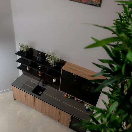 公寓式酒店 Montgomery House 4*